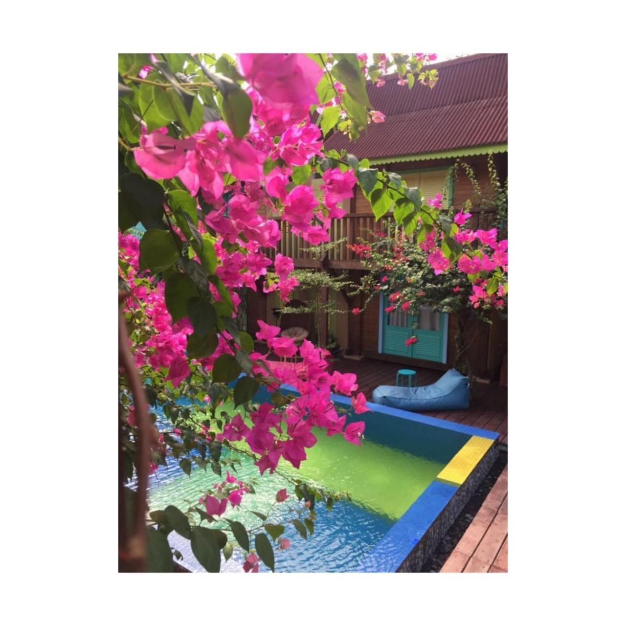 Bleu Verde, The Secret Garden - Turtle Point Beach Gili Trawangan Habitación foto